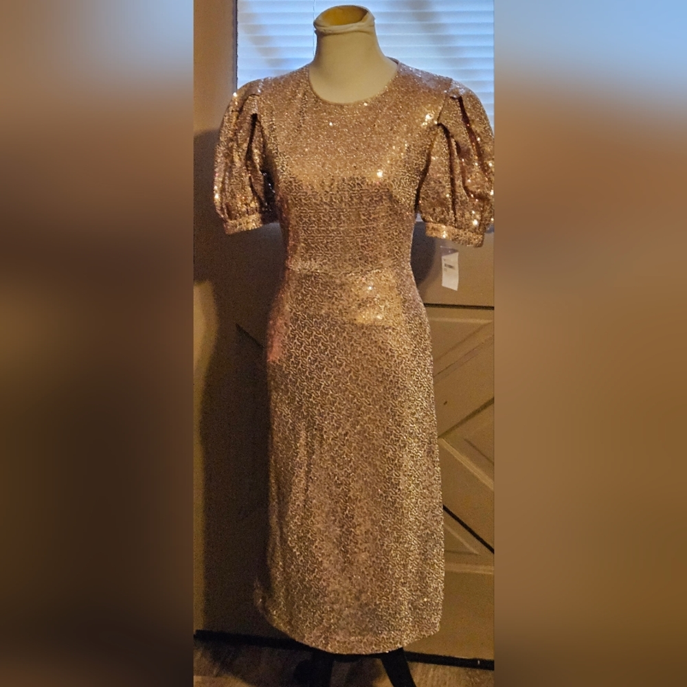 NWT Rachel Parcell Rose Sequin Puff Shoulder Midi Dress XS - Picture 3 of 8